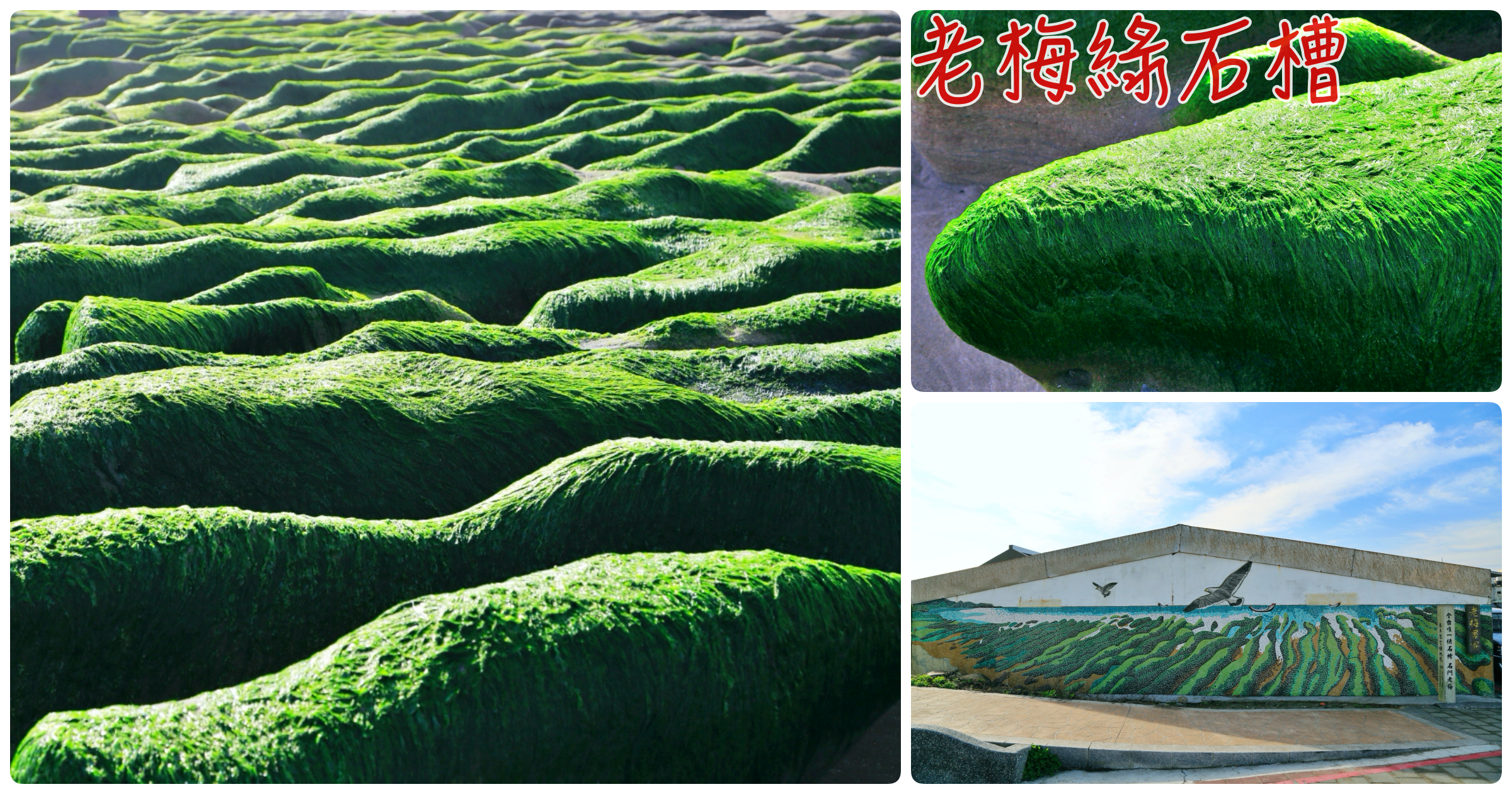 [新北旅遊]老梅綠石槽|每年3~5月限定版綠色地毯~曾被CNN票選為台灣八大祕境之一 @VIVIYU小世界