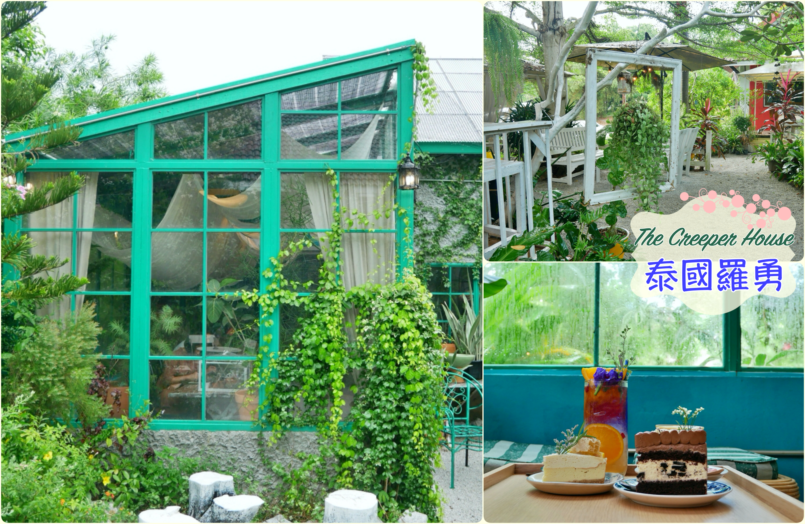 [羅勇美食]The Creeper House咖啡館|森林系花園咖啡廳．蛋糕華麗~被綠意圍繞．室內空間有大鳥籠座位區 @VIVIYU小世界