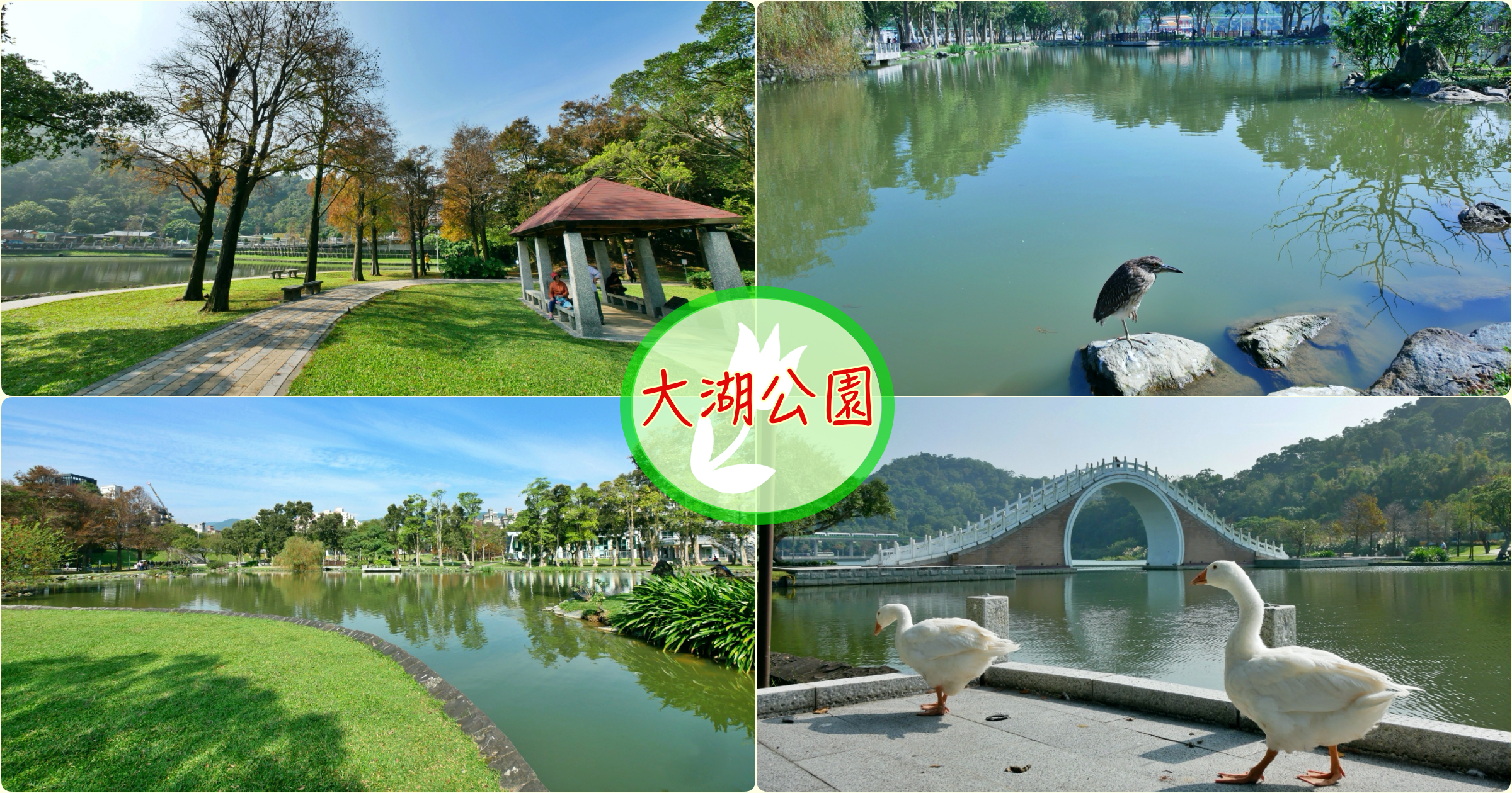 [台北旅遊]大湖公園|捷運文湖線~免費景點．世界級美景錦帶橋．自然生態豐富 @VIVIYU小世界