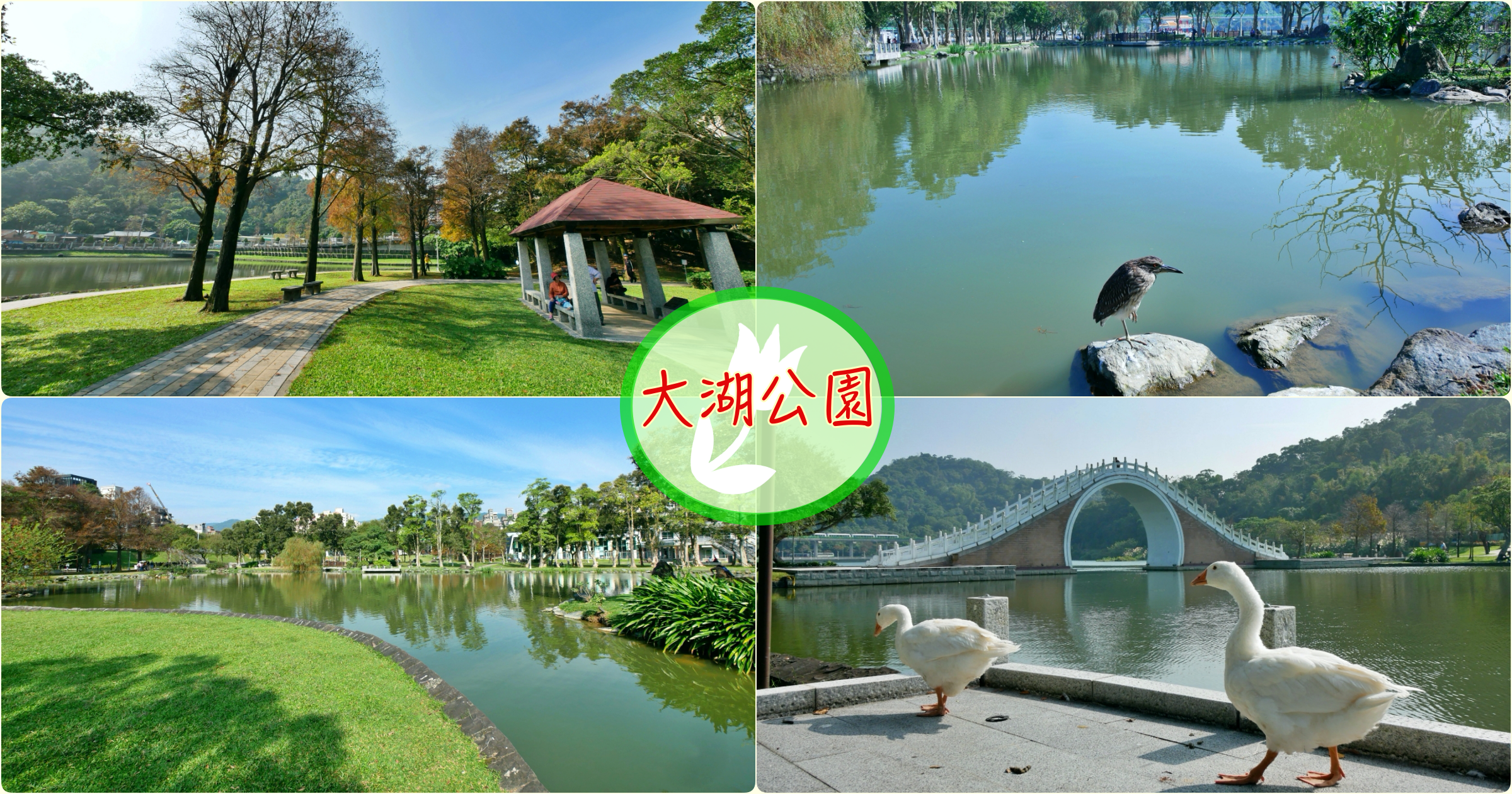 [台北旅遊]大湖公園|捷運文湖線~免費景點．世界級美景錦帶橋．自然生態豐富 @嘿!部落!