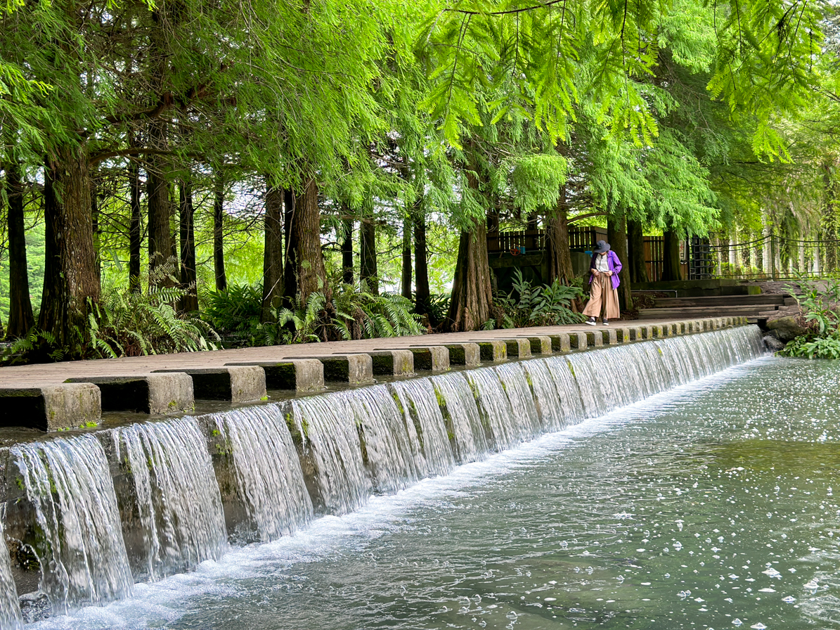 延伸閱讀：[花蓮旅遊]雲山水|落羽松美景&夢幻湖光山色~花蓮美拍必遊景點．湖畔美得像幅畫