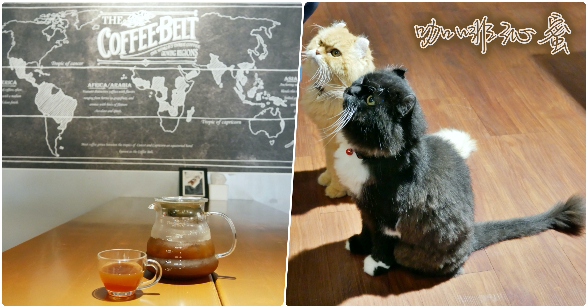 [八德美食]咖啡沁蜜|平價咖啡加入LINE還享88折優惠~有可愛的貓瑞店貓陪喝咖啡 @VIVIYU小世界