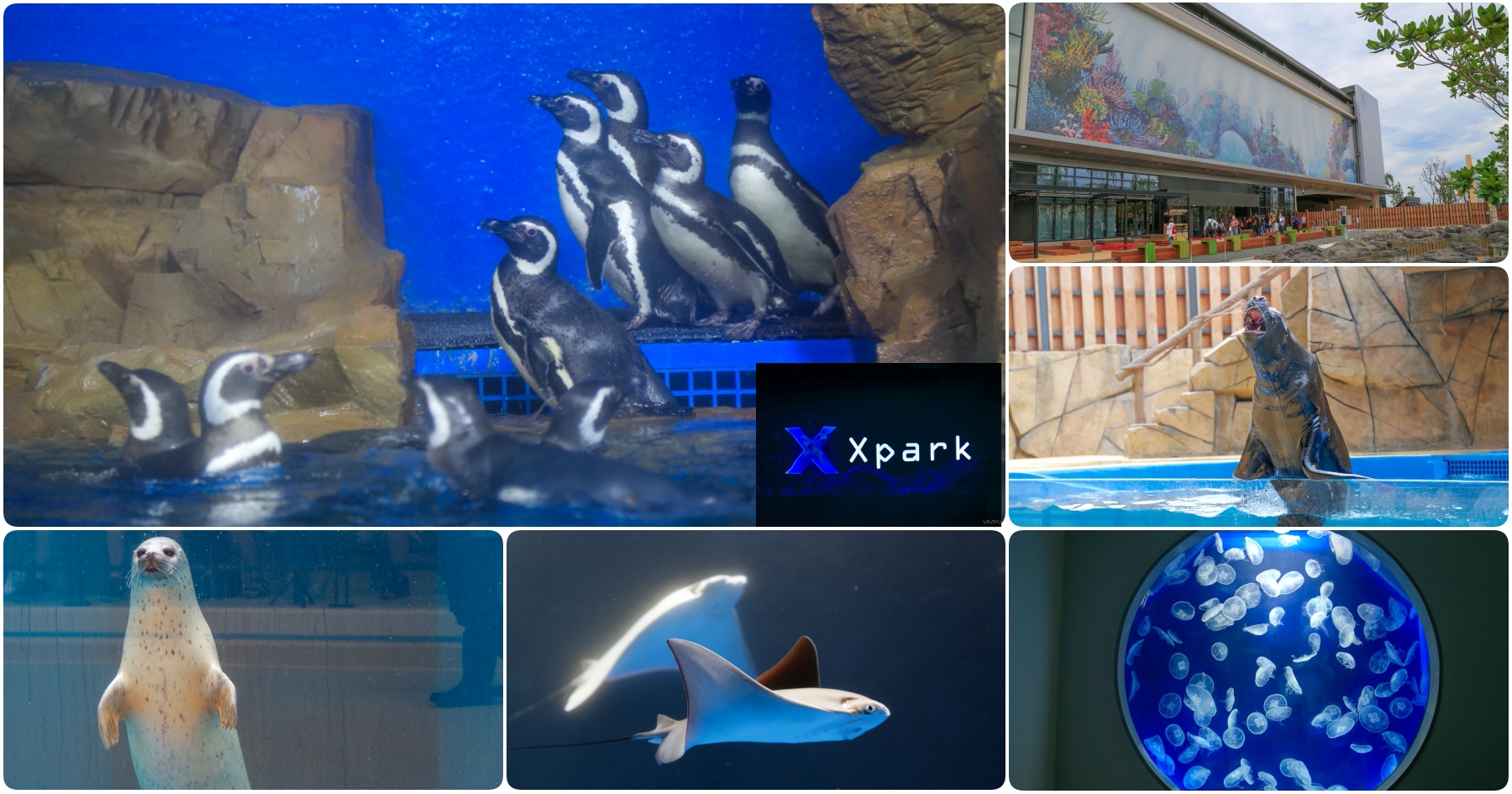 [桃園景點]全台最新水族館「Xpark」實景參觀/票價場次/地圖交通/停車價格/週邊美食一次收錄(內附影片) @VIVIYU小世界