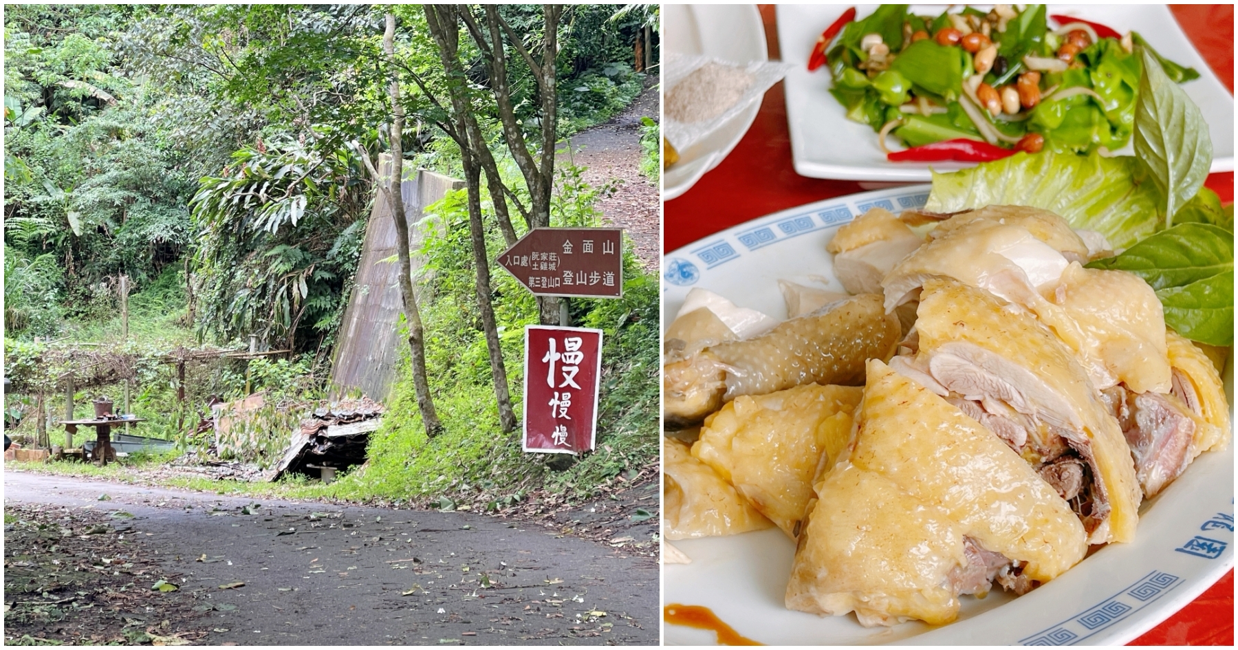 [大溪美食]阮家莊土雞城-老大店|藏在深山裡的祕境料理~頭家嬤種什麼吃什麼的時蔬．近期吃到最鮮甜的白斬雞