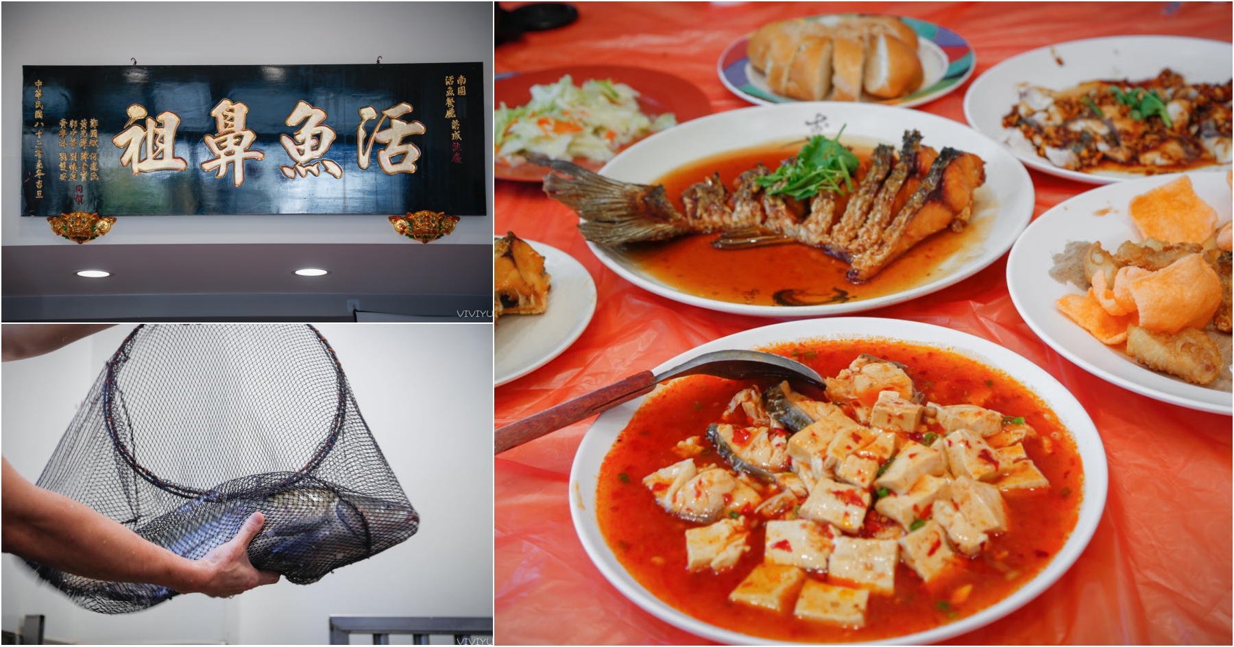 [龍潭美食]石門活魚鼻祖．南園活魚老店餐廳-傳承三代老店新裝潢．活跳跳新鮮草魚一魚九吃