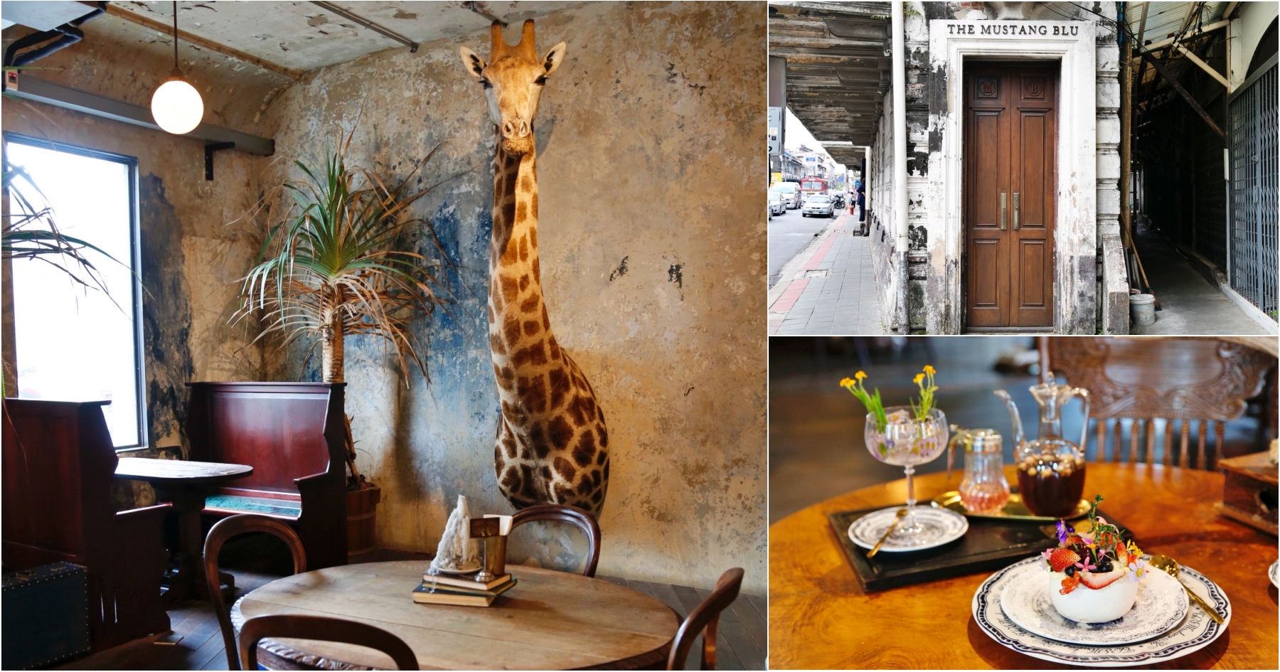 [曼谷美食]The Mustang Blu-曼谷老城區19世紀百年建築改建餐廳&精品旅館~走入博物館裡欣賞動物標本．滿滿的叢林風格 @VIVIYU小世界