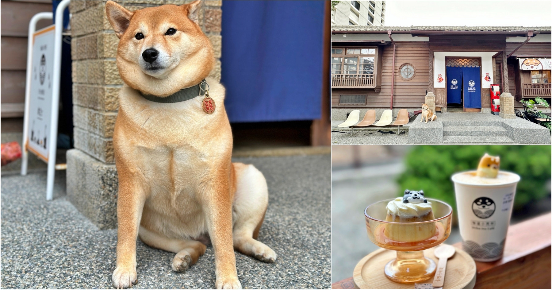 延伸閱讀：[花蓮美食]咖逼小売所｜斗宅。揀茶舍-柴犬雙雄在門口迎客~日式古蹟建築裡享受下午茶時光