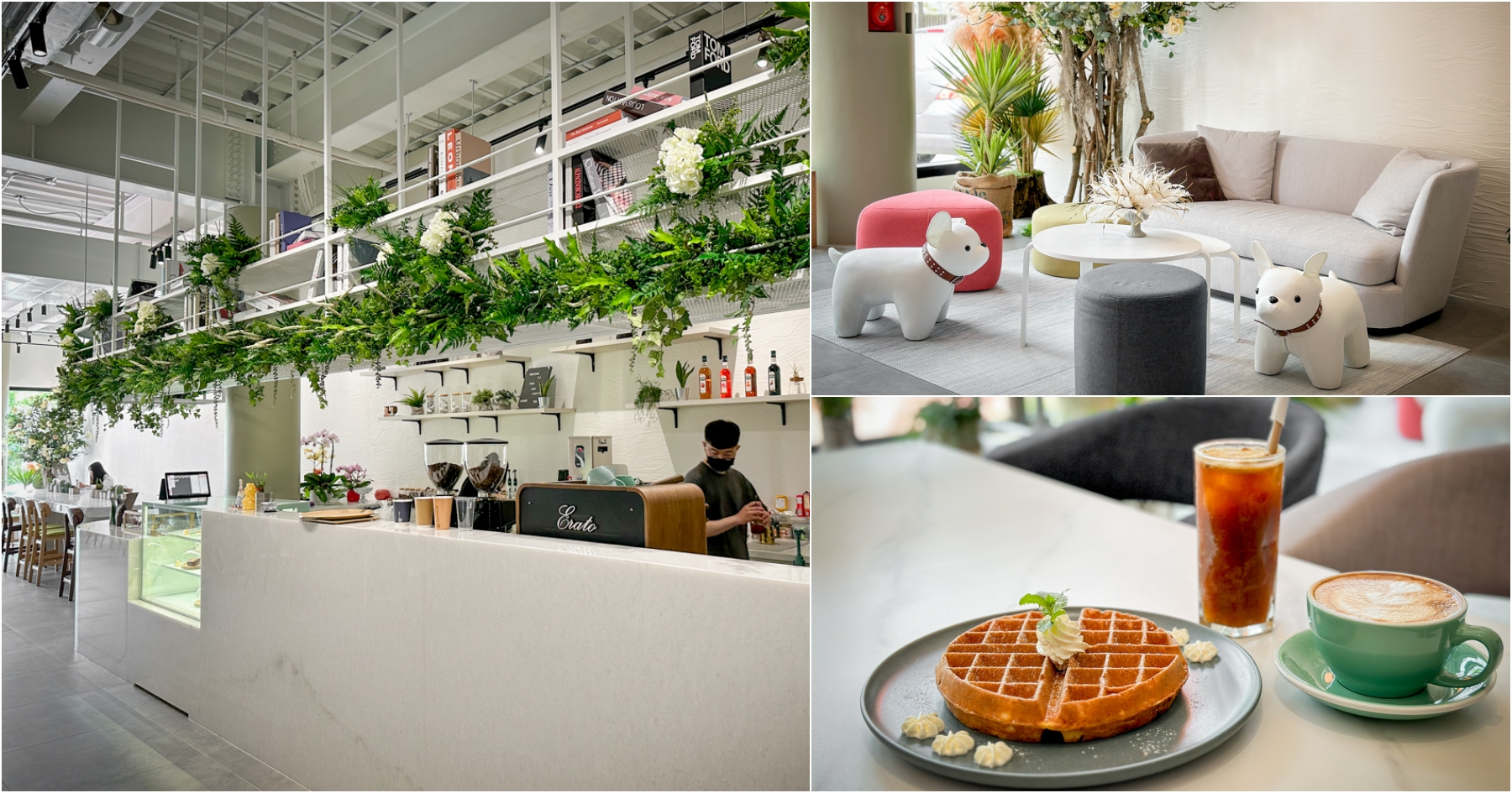 [桃園美食]Two Five Café-中路特區附近新開店~植物療癒系咖啡館．免費插座可使用．座位多又有佈展空間!