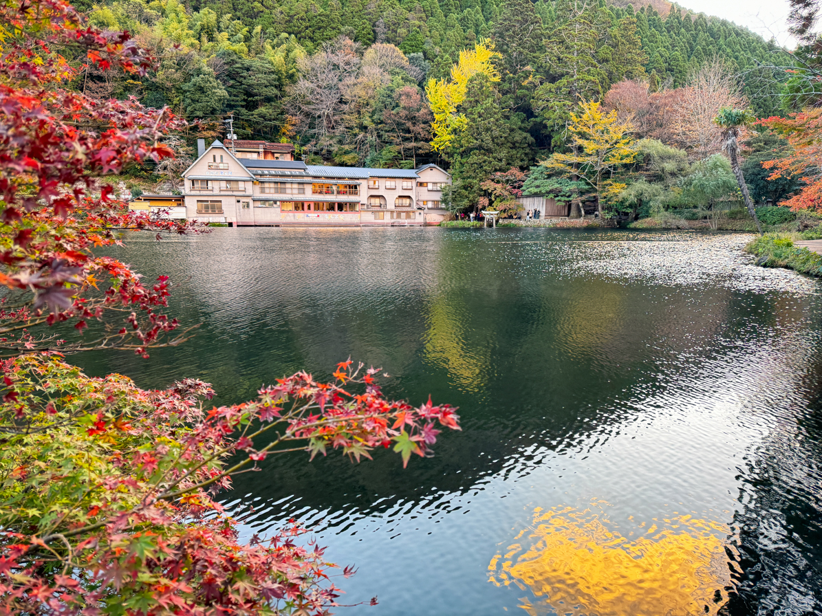 延伸閱讀：[日本大分]金鱗湖-湯布院夢幻晨霧景點~如何前往金鱗湖交通資訊．水上神社鳥居好好拍!