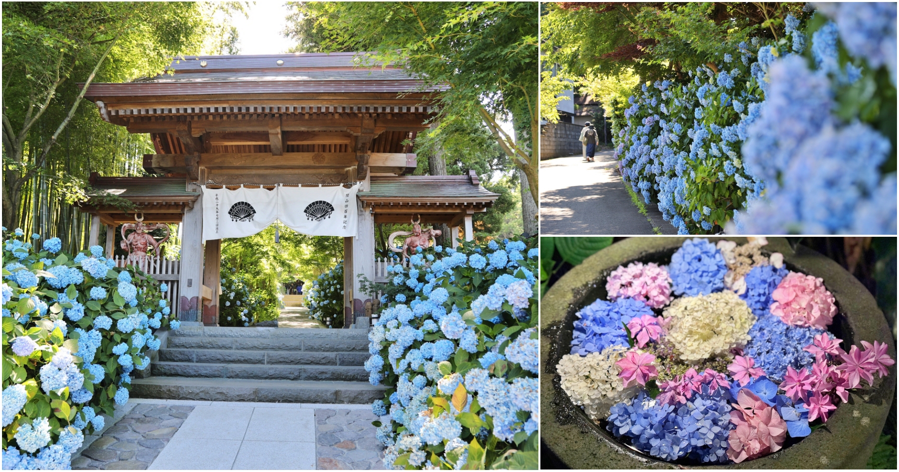 網站近期文章：[秋田景點]日本東北必訪絕景！男鹿夏季限定一片藍色花海裡的雲昌寺~夜間點燈浪漫體驗