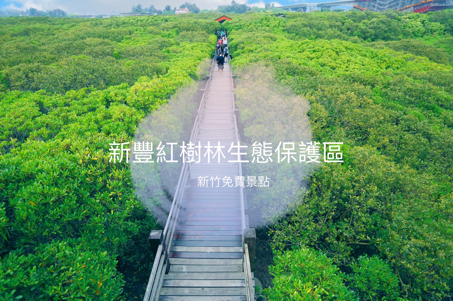 [新竹旅遊]新豐紅樹林生態保護區|新竹免費景點~紅樹林綠色步道．走在木棧道上拍出IG網美照 @VIVIYU小世界